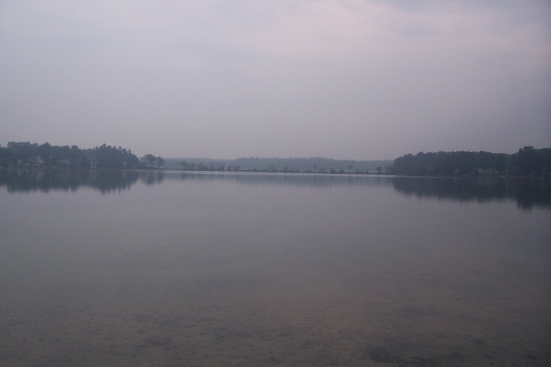 foggy morning 
