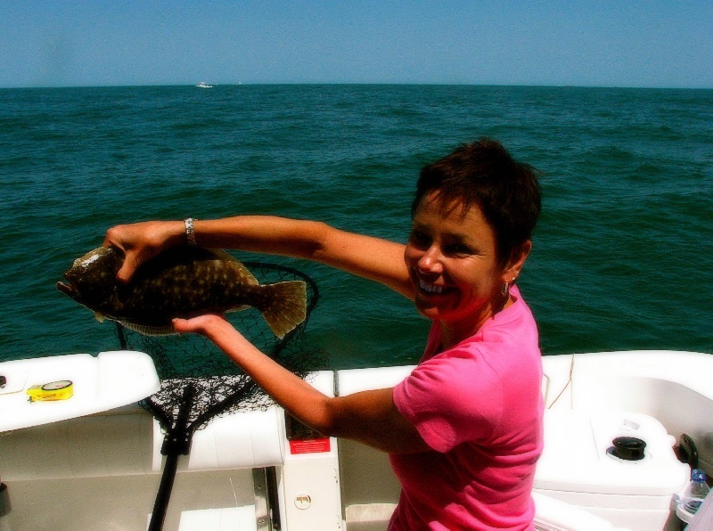 Flounder, Shark and Starfish